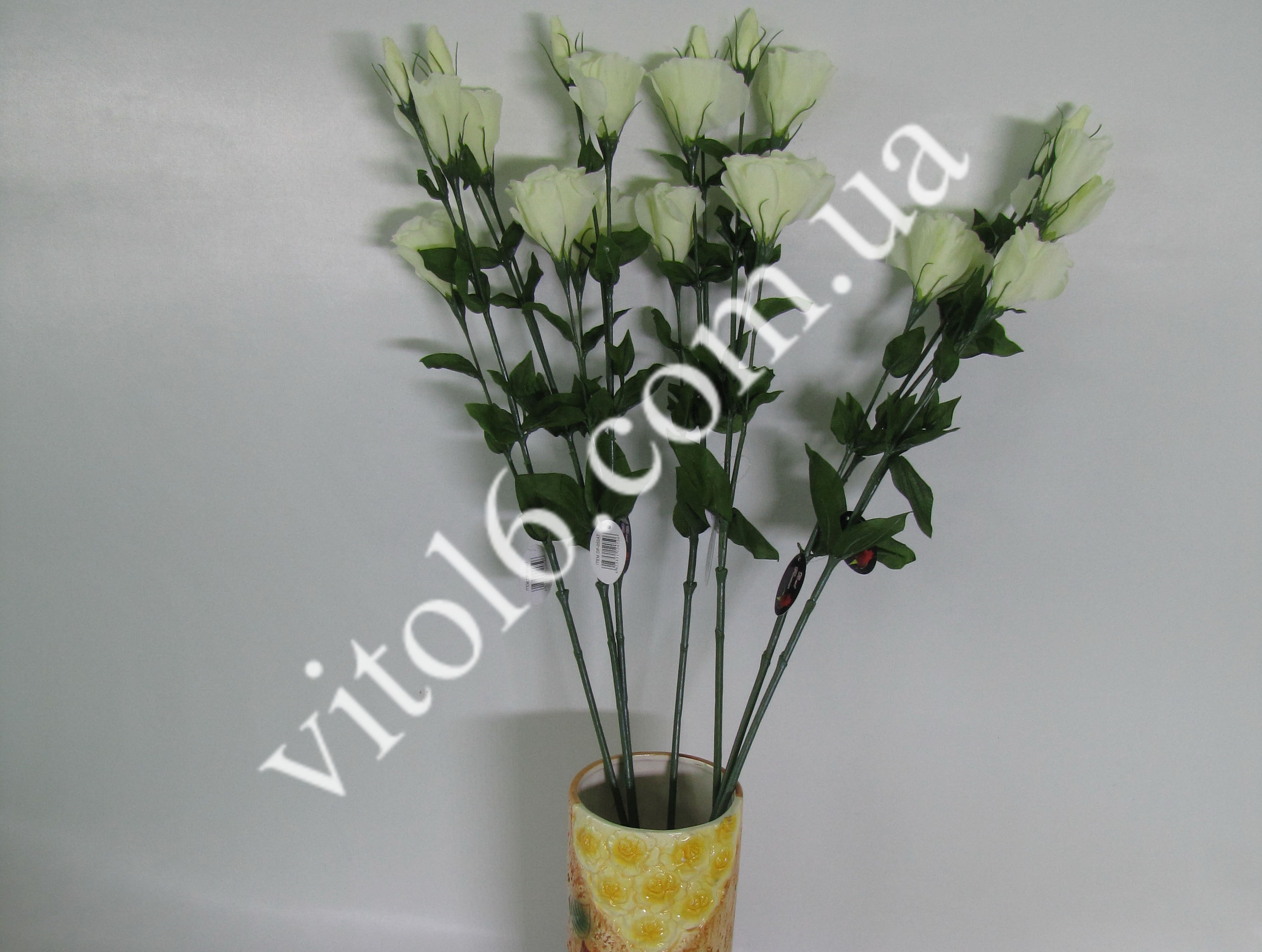    81 VT6-16236(600)